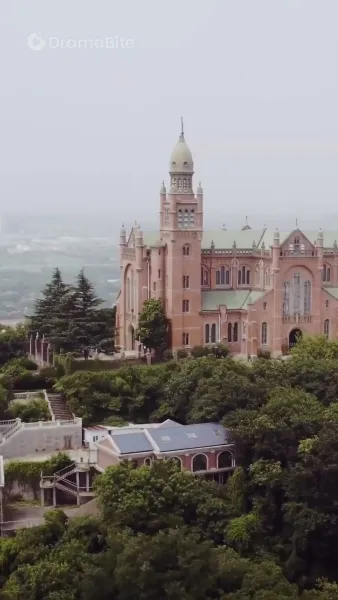 พันธะรักร็อกอัลฟ่า