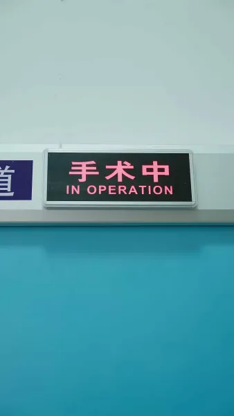 คำสัญญาในฝน