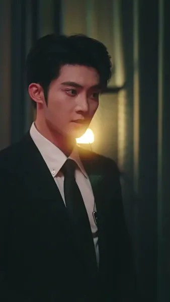 เงารักใต้ปีกหงส์