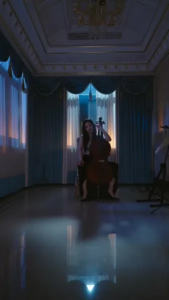 เงารักใต้ปีกหงส์