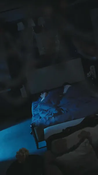 เงารักใต้ปีกหงส์