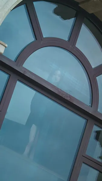 เงารักใต้ปีกหงส์