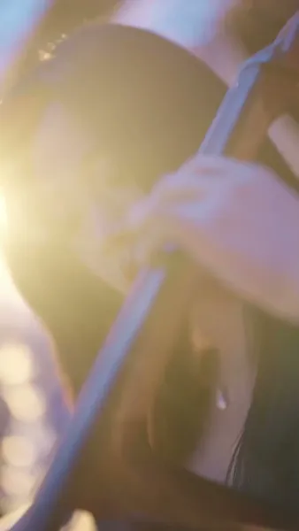 เงารักใต้ปีกหงส์