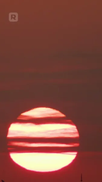 เจ้านายฉันคือผู้บริจาคสเปิร์มลับ