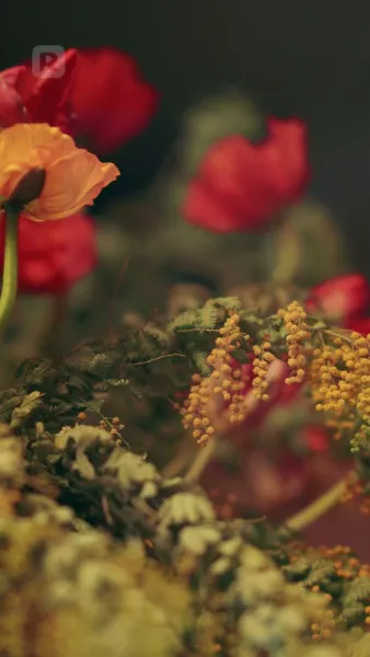 เจ้านายฉันคือผู้บริจาคสเปิร์มลับ