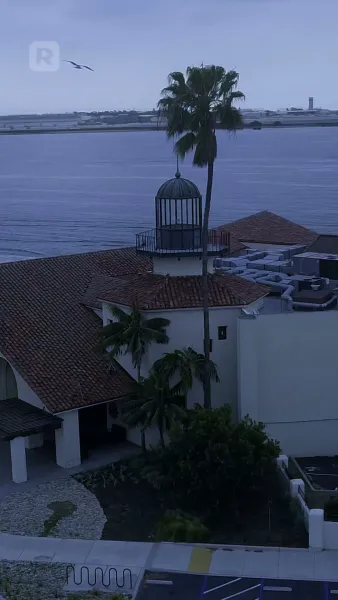 เจ้านายฉันคือผู้บริจาคสเปิร์มลับ