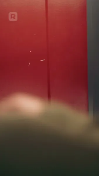 เจ้านายฉันคือผู้บริจาคสเปิร์มลับ