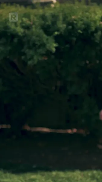 เจ้านายฉันคือผู้บริจาคสเปิร์มลับ