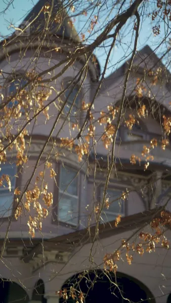 เจ้านายฉันคือผู้บริจาคสเปิร์มลับ