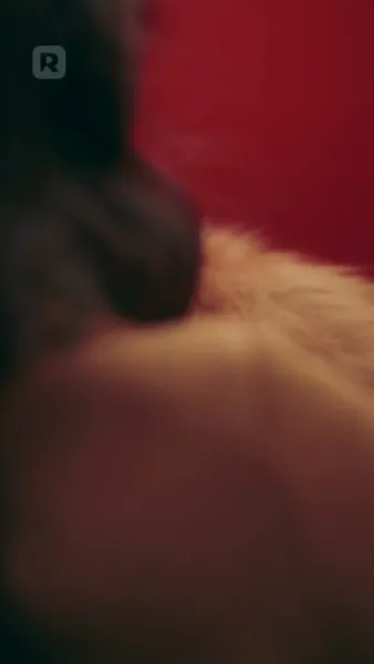 เจ้านายฉันคือผู้บริจาคสเปิร์มลับ