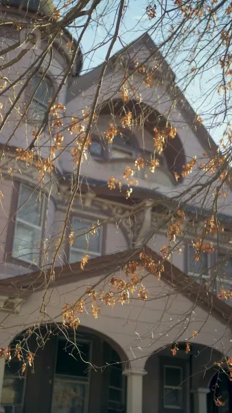 เจ้านายฉันคือผู้บริจาคสเปิร์มลับ