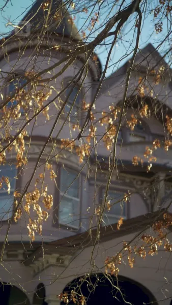 เจ้านายฉันคือผู้บริจาคสเปิร์มลับ