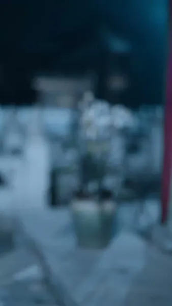 ตำรับรักหมอวัง