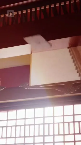 ตื่น มา อีก ที ก็ เป็น เจ้าสาว อวบ ของ พลทหาร