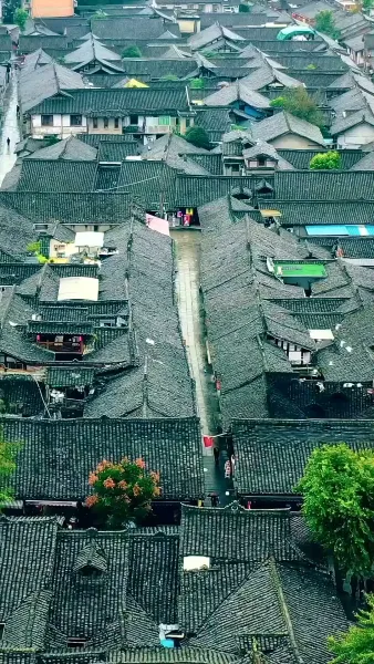 ข้ามกาลเวลามาคว้าพู่กัน