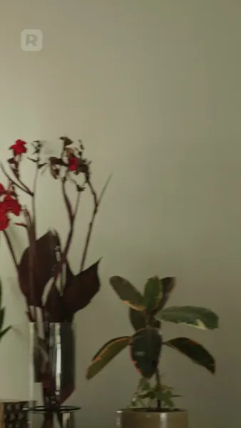 โชคชะตาพาเรามาเจอกันอีกครั้ง