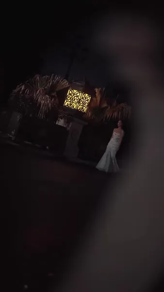 กุหลาบที่ร่วงหล่น