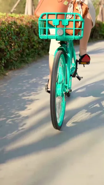 สายใยนำพารัก