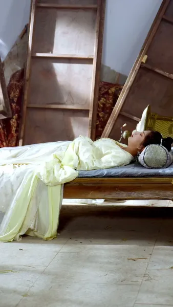 แค้นแห่งวังหลวง