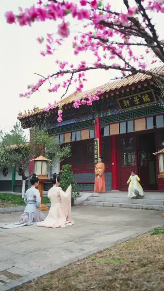 แค้นแห่งวังหลวง