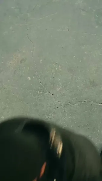 ชะตารักชายาพยากรณ์