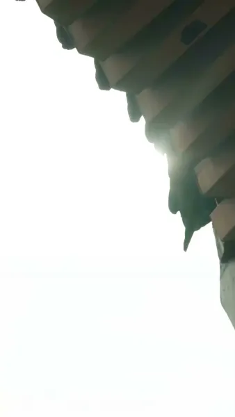 ชะตารักชายาพยากรณ์