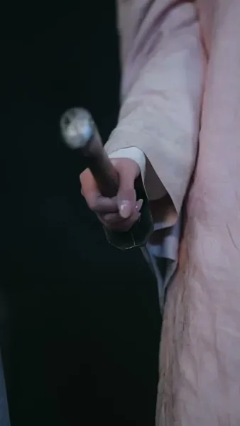 ชะตารักชายาพยากรณ์