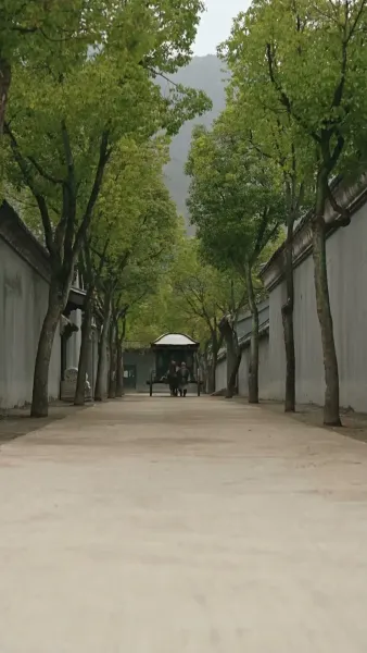 ชะตารักชายาพยากรณ์