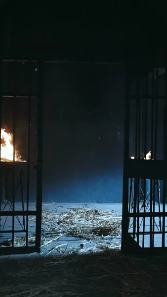 ชะตารักชายาพยากรณ์