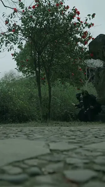 ชะตารักชายาพยากรณ์