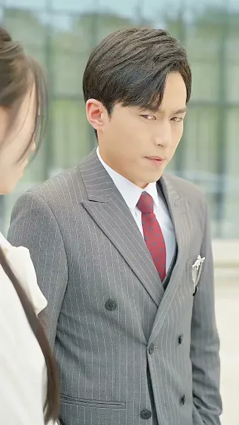 ปริศนาลูกเขย 