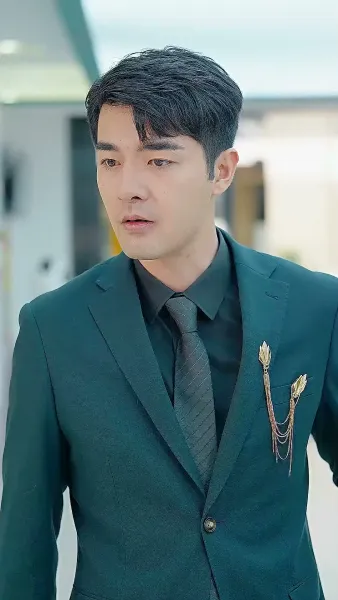 ปริศนาลูกเขย 