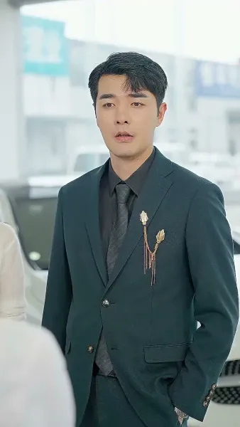 ปริศนาลูกเขย 