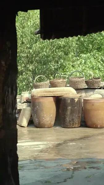 เขี้ยวและเงา