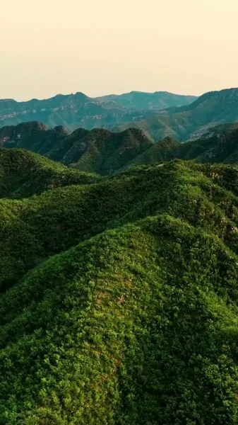 เขี้ยวและเงา