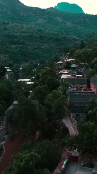 เขี้ยวและเงา