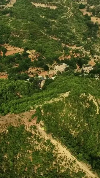 เขี้ยวและเงา