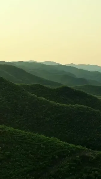 เขี้ยวและเงา