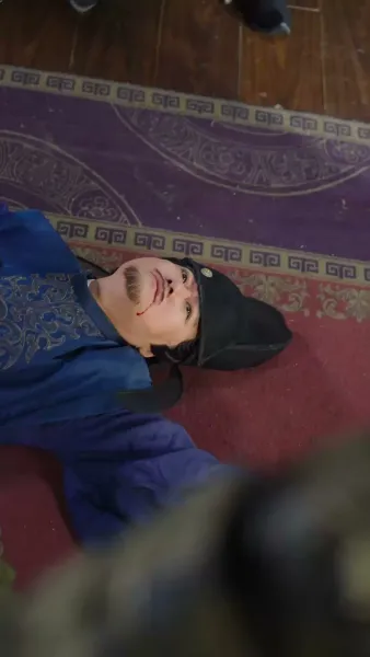 แผนสยบพญาหงส์