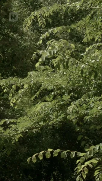 เรือนจำพิศวาส