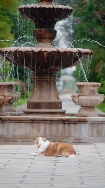 รักแรก รักสุดท้าย