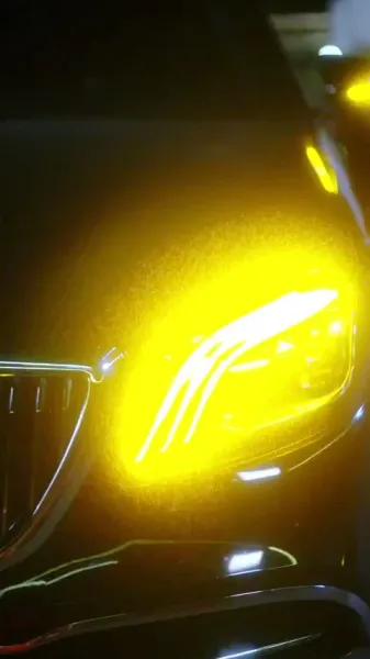 พันธะรัก ลวงใจอดีตสามี