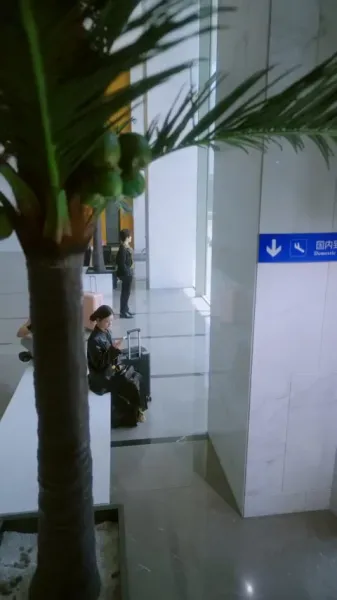 พันธะรัก ลวงใจอดีตสามี