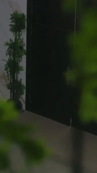 พันธะรัก ลวงใจอดีตสามี