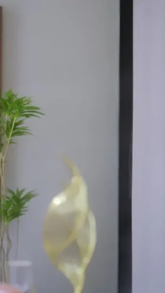 พันธะรัก ลวงใจอดีตสามี