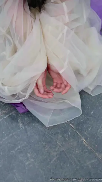 มังกรพิทักษ์ตามหารัก