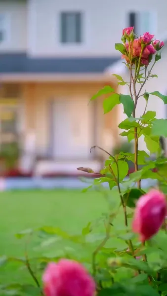 หวานใจคุณหมอ