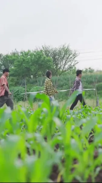  แสงดาวในเหวลึก