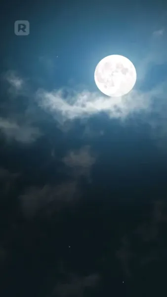 กลับมาเพื่อชนะ