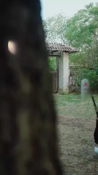 คมดาบแห่งเก้าอาณาจักร